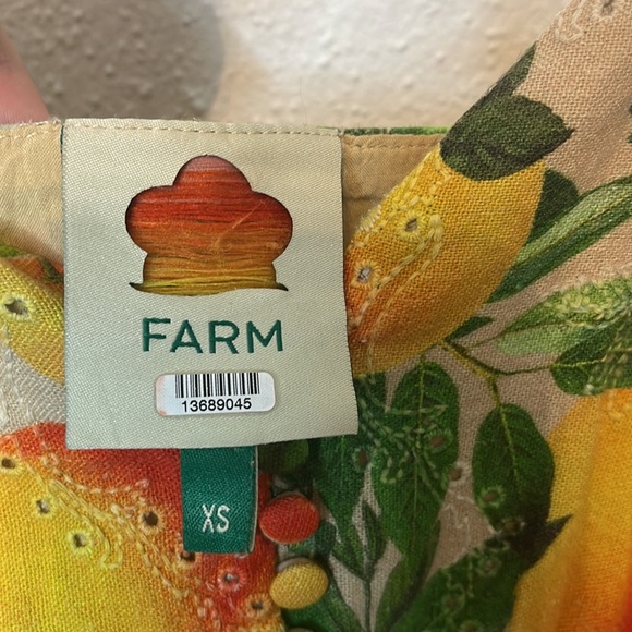 Farm Rio Eyelet Oranges Dress Size XS - Picture 10 of 16